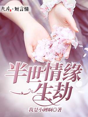 半世情缘一生劫封面