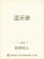 追天录封面