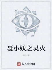 聂小妖之灵火封面