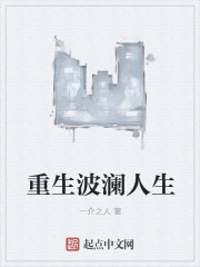重生波澜人生封面