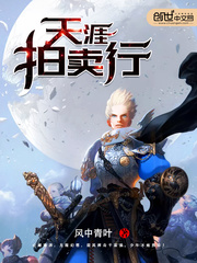 天涯拍卖行封面