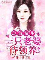 总裁留步：一只老婆待领养封面