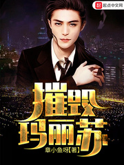 摧毁玛丽苏封面