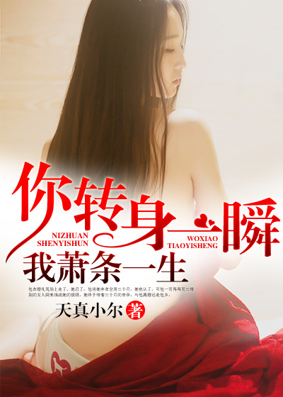 你转身一瞬，我萧条一生封面