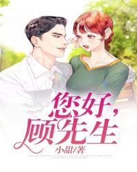 您好顾先生封面