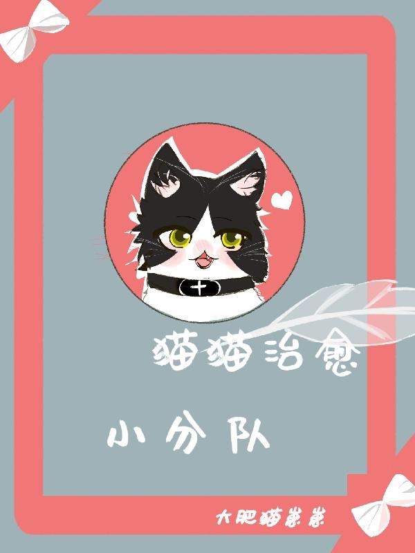 猫猫治愈小分队封面