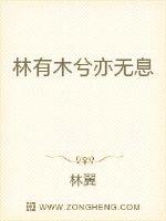 林有木兮亦无息封面