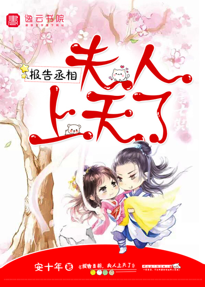 报告丞相，夫人上天了封面