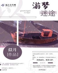 游梦迷途封面