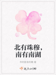 北有珠穆，南有南湖封面