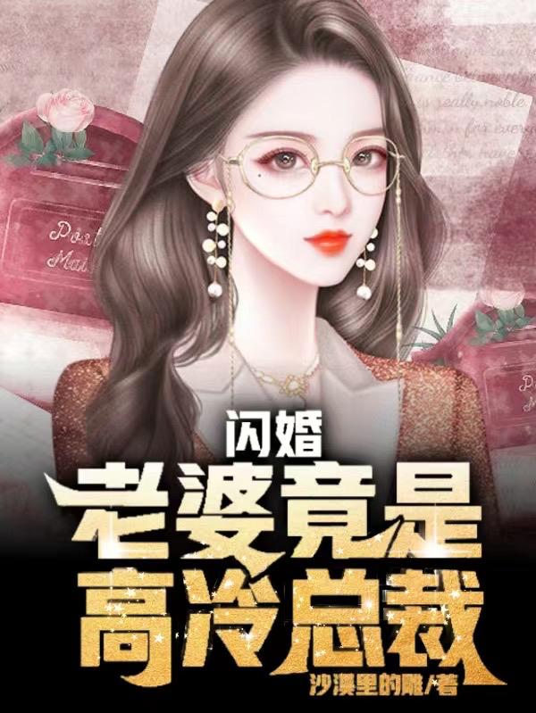 闪婚，老婆竟是高冷总裁封面