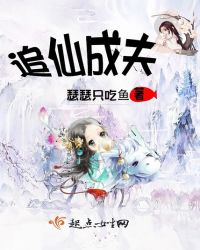 追仙成夫封面