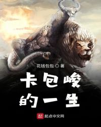 卡包峻的一生封面