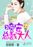 晚安,总裁大人!封面