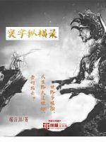 寰宇纵横录封面