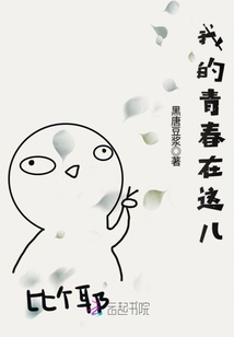我的青春在这儿封面