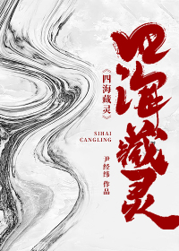 四海藏灵封面