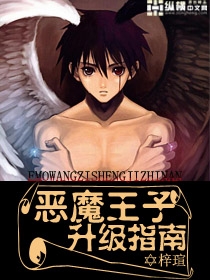 恶魔王子升级指南封面