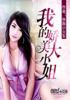 我的娇美大小姐封面