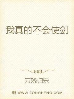 我真的不会使剑封面