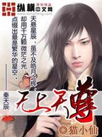 无上天尊封面