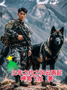三年之约之风云再起封面