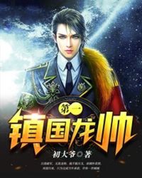第一镇国龙帅封面