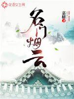 名门烟云封面