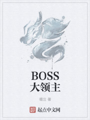 BOSS大领主封面