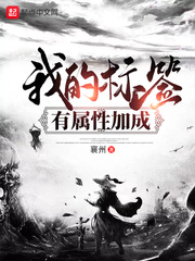 我的标签有属性加成封面