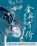金丹有价封面