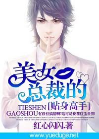 美女总裁的贴身高手封面