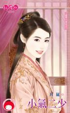 小气二少封面