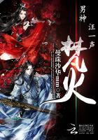 梵火——男神,汪一声封面