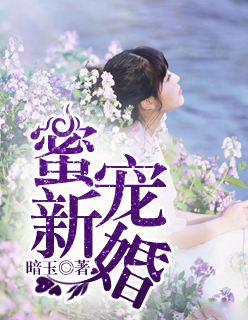 蜜宠新婚封面