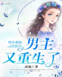 快穿系统：男主又重生了封面