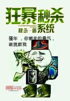 狂暴秒杀系统封面