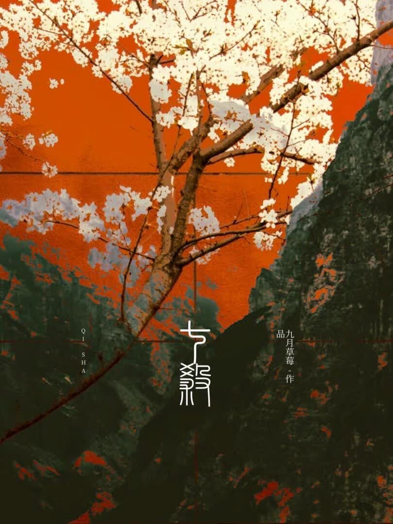 七杀封面