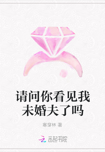 请问你看见我未婚夫了吗封面