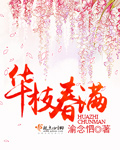 华枝春满封面
