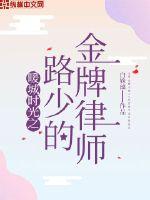 暖城时光之路少的金牌律师封面