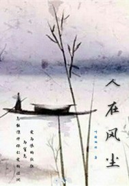 人在风尘封面
