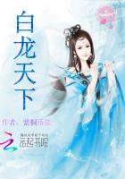 白龙天下封面