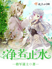 净若止水封面