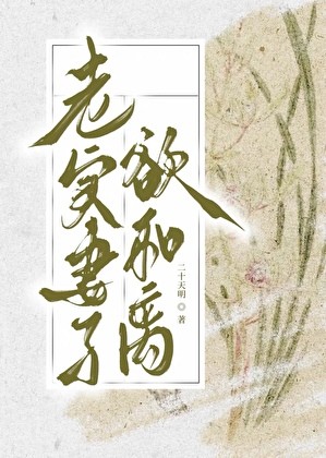 老实妻子欲和离封面