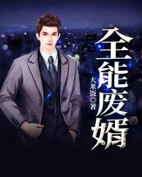 全能废婿封面