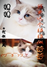 妈妈,我要这个猫猫做爸爸封面