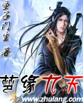 梦缘九天封面