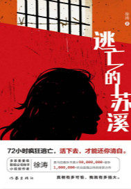 逃亡的苏溪封面