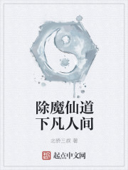 除魔仙道下凡人间封面